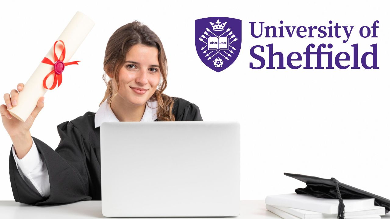 University of Sheffield Scholarship