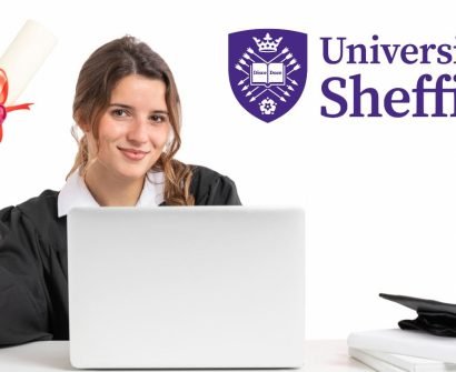 University of Sheffield Scholarship